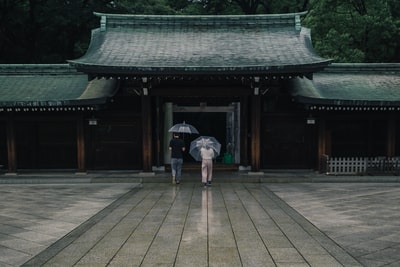 两个人拿着雨伞在雨季布朗大楼附近
